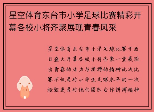 星空体育东台市小学足球比赛精彩开幕各校小将齐聚展现青春风采